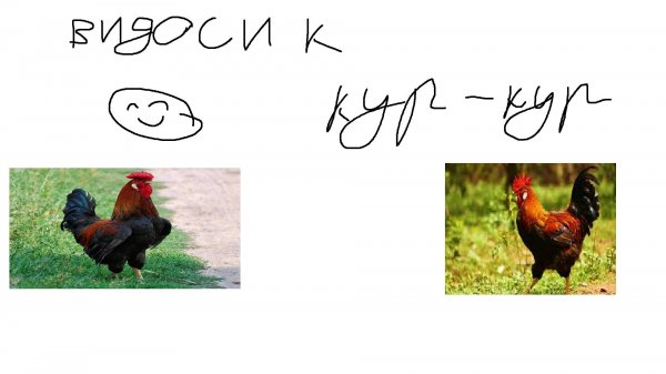 Покатушки на танчиках с Azimuth