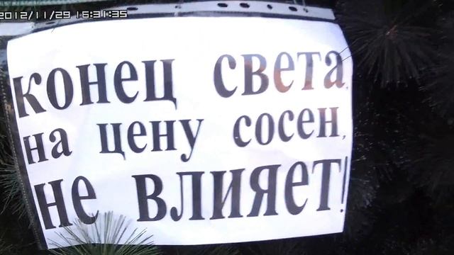 конец света на цены сосен не влияет! смотреть онлайн
