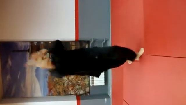 Урок владения ножом смотреть онлайн