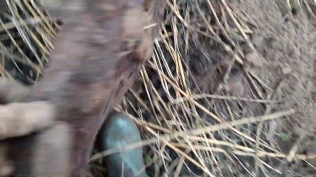 Разведка нового места,нашёл запчасти от трактора. смотреть онлайн