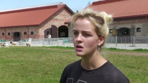 Дорперы в Калининградской области