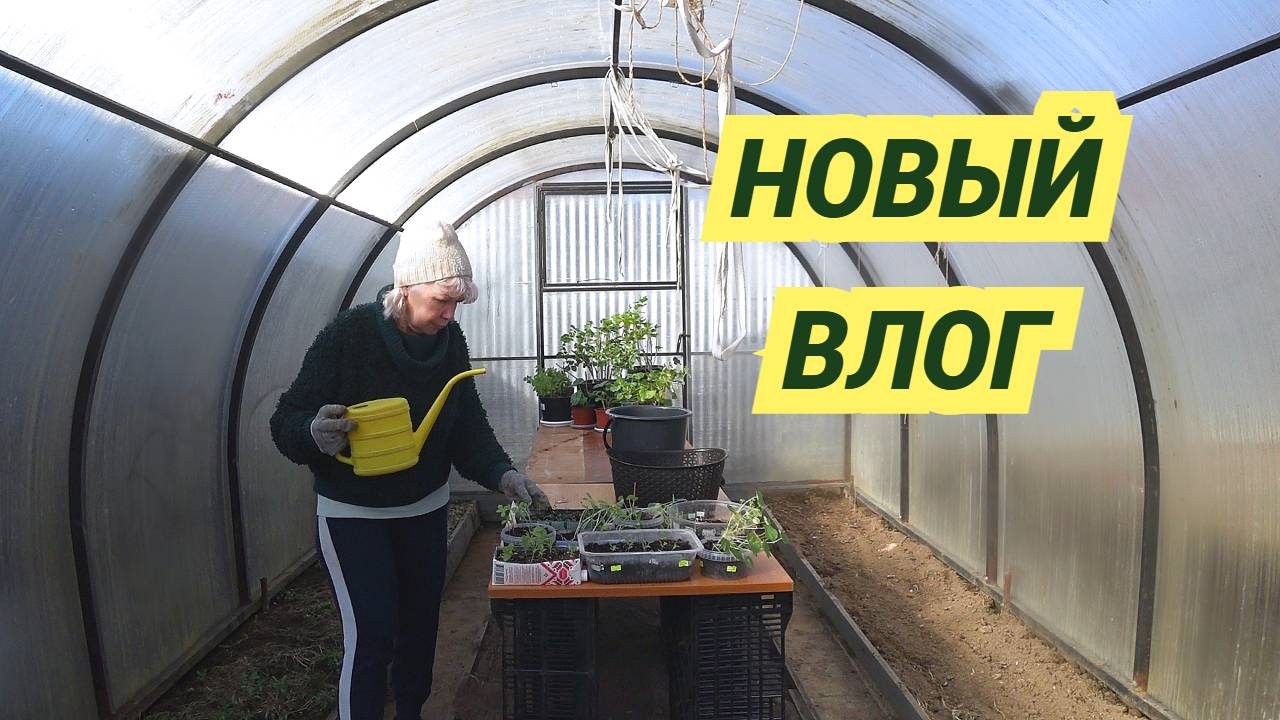 Садовый влог/Занимаюсь покраской/Обновили грядки/Тестируем игрушку для кошек смотреть онлайн