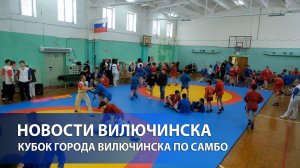 Межмуниципальный турнир «Кубок города Вилючинска по самбо»