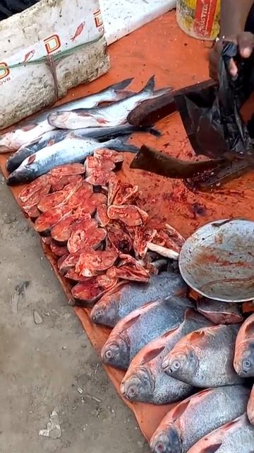 मुंगरा || पॉपलेट Fish Market смотреть онлайн