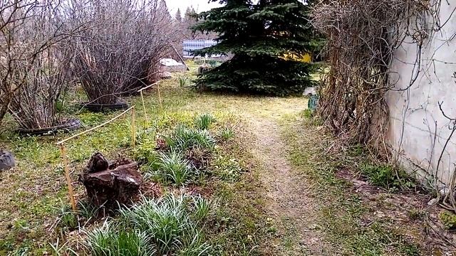 уборка двора/жизнь в деревне/шашлыки. смотреть онлайн