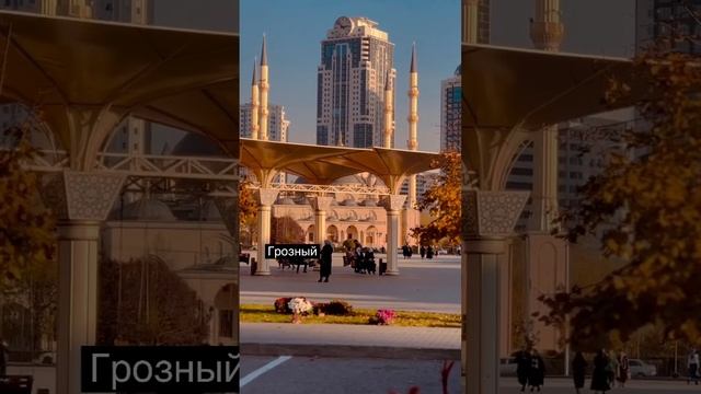 Город Грозный #shortvideo #shorts #грозный #чечня смотреть онлайн