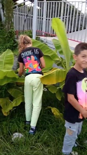 замок у моря. загадка 1.