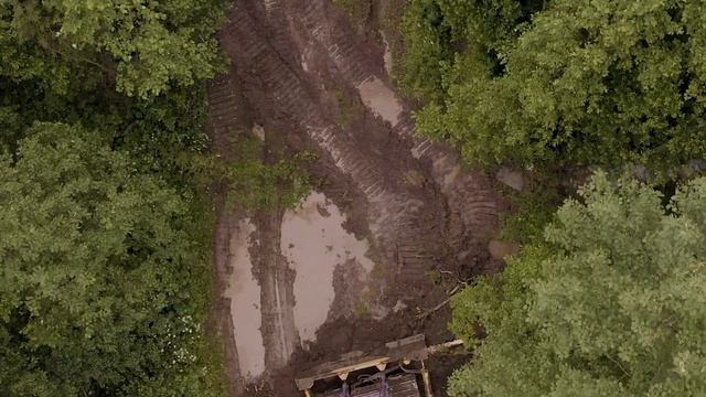 ЧЕТРА в деле! ЧЕТРА Т-9. Расчистка лесополосы под строительство линий высоковольтных электропередач