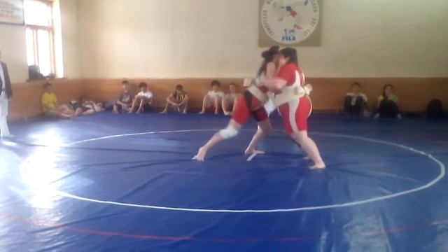 Sumo winter 2015 Samara regional competition смотреть онлайн
