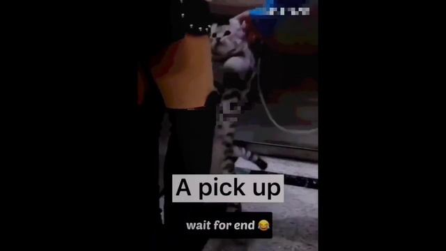 Bagad Billa Comedy Video | Funny Instagram Reels #trending #bagadbilla # смотреть онлайн
