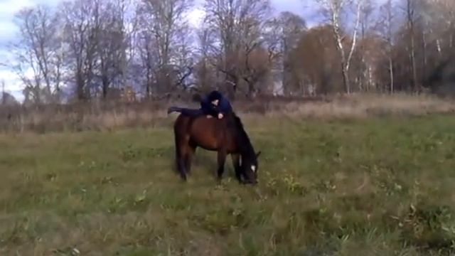 неудачная пародия на фильм Оствинд2 смотреть онлайн