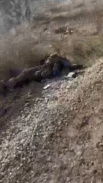 Хохлы отдыхают в окресностях Гуево Курская область смотреть онлайн