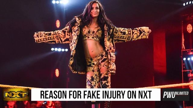 Reason For Fake Injury ON Last Week's NXT