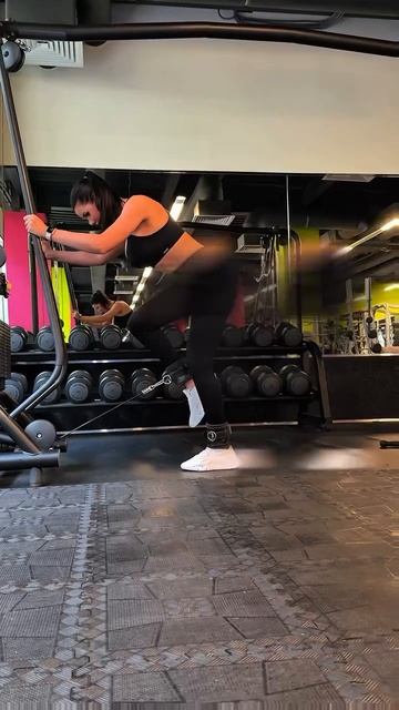 тренировка