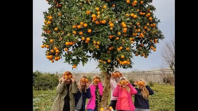 Как монетизировать свои таланты смотреть онлайн