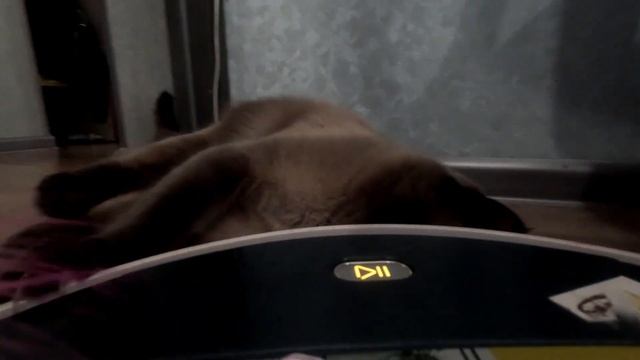 Мир глазами робота пылесоса смотреть онлайн