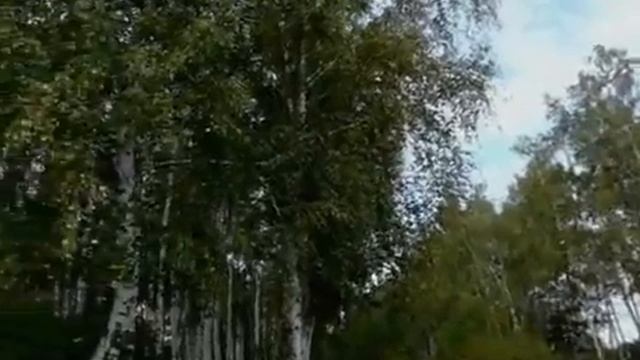 Щепкинская прогулка №4 смотреть онлайн