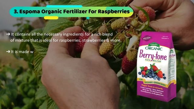Best Fertilizer for Raspberries - Berry Bountiful Growth смотреть онлайн