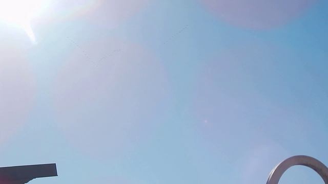 Гуси летят 1 смотреть онлайн