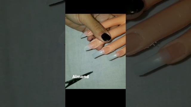 Nail Shapes 