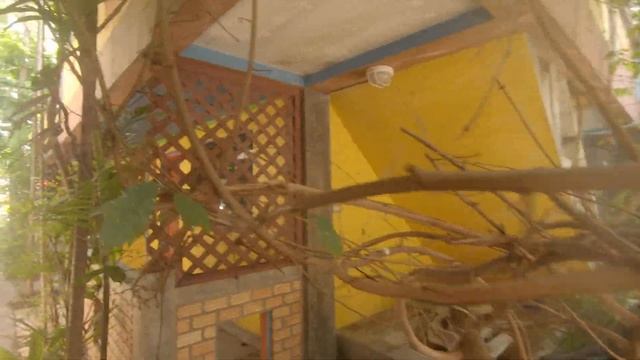 Walking around main street in bangrak part 1,Koh Samui 2022 смотреть онлайн