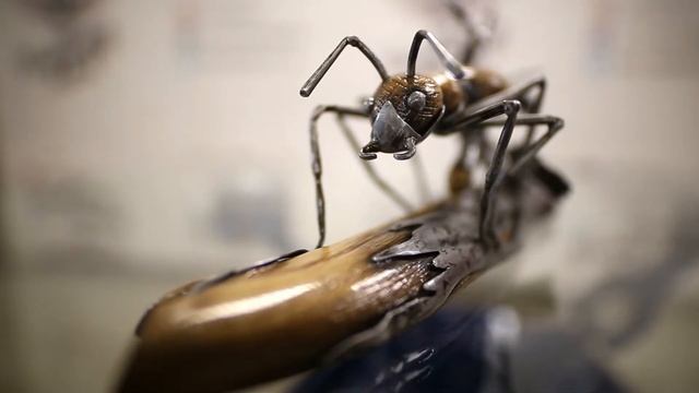 Муравью х... приделать смотреть онлайн