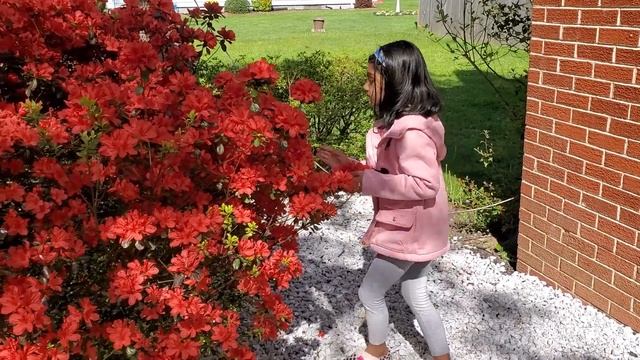 Kids picking flowers and leaves for our Flower project смотреть онлайн