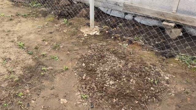 РАБОТЫ НА УЧАСТКЕ//ВЫРОВНЯЛИ ЗЕМЛЮ// ПОСЕЯЛА ГАЗОН//СТРОИМ ТЕРРАСУ смотреть онлайн