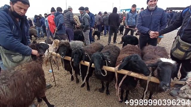 CHUST mol bozori DAXSHAT narxlar смотреть онлайн