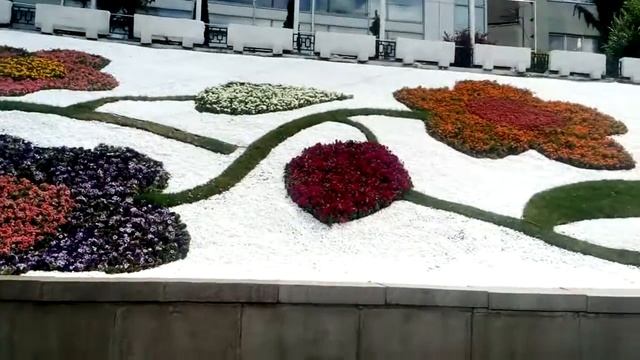 Университетская горка цветы смотреть онлайн