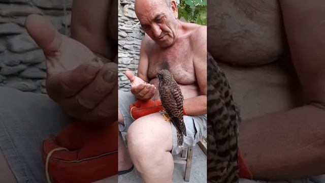 Дядя Азат 2018 город Анапа смотреть онлайн