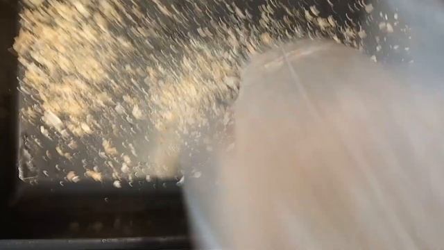 КАК ПОЖИВАЮТ МУРАВЬИ ВЕСНОЙ? МОЕ. ДЖИММИ! смотреть онлайн