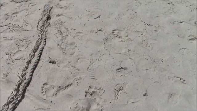 Тайланд. Коралловый остров. Ко Не смотреть онлайн