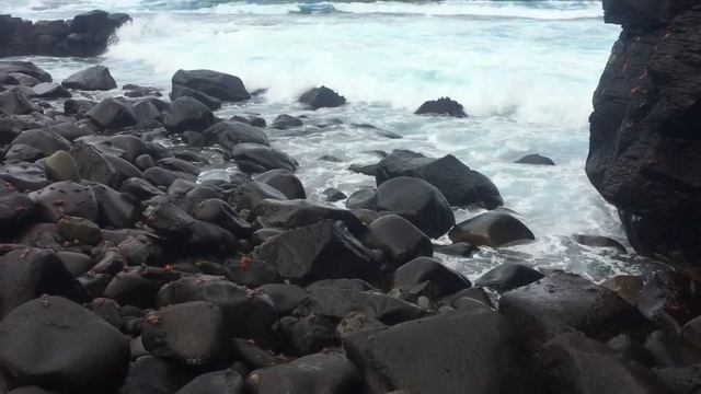 Galápagos смотреть онлайн