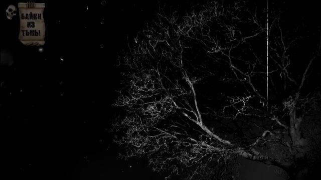 Истории на ночь (2в1): 1.Скрипачка, 2.Я больше не могу смотреть онлайн