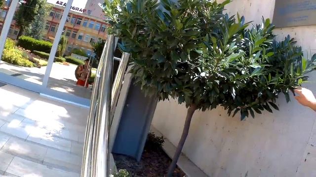 26. Шиофок ч4: клумбы. Путешествие по Европе 2016 смотреть онлайн