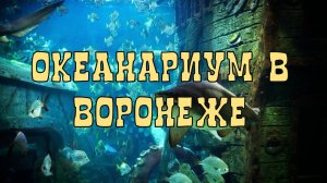 Океанариум в Воронеже