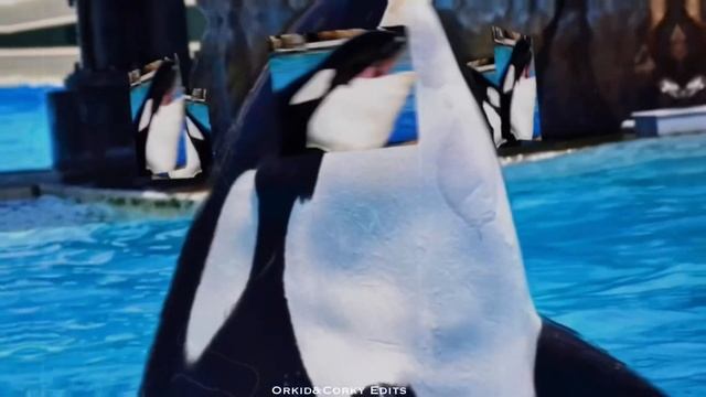ᴬˡˡ ᵀʰᵉ ᵀʰⁱⁿᵍˢ ˢʰᵉ ˢᵃⁱᵈ смотреть онлайн