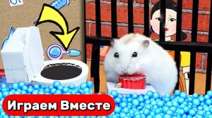 Лабиринт для Хомяка 🐹 ПОБЕГ Умного Хомяка из ПОПИТ ТЮРЬМЫ С ЛОВУШКАМИ ! #топыкатегорий