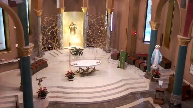 Rosario, Vespri Solenni e Santa Messa della Domenica: 11 Agosto смотреть онлайн