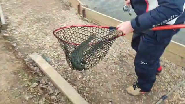 WhatsApp Video 2025-04-01 at 10.13.37 смотреть онлайн