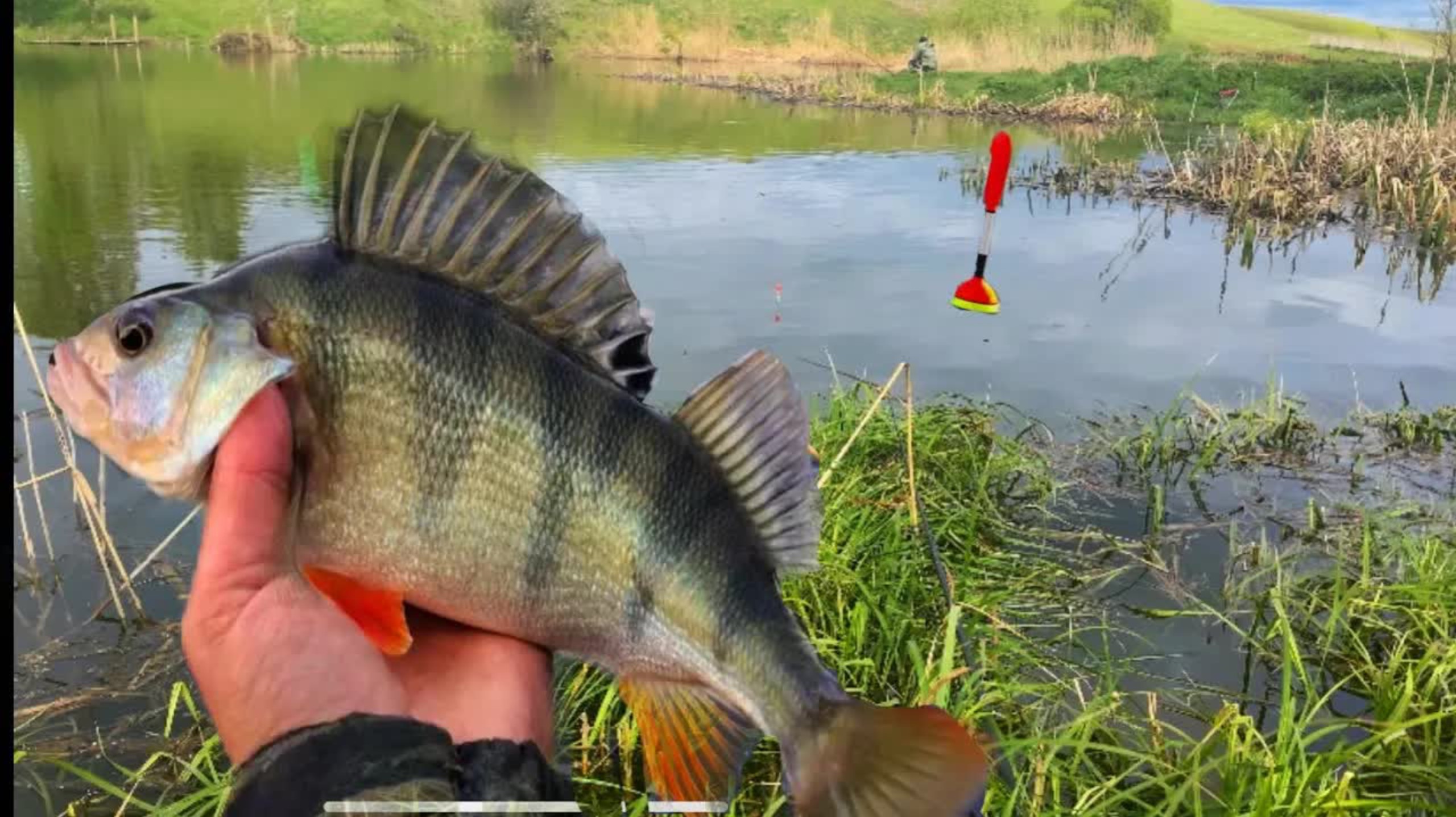 Закинули под камыш, а ТАМ такие КАБАНЫ!!РЫБАЛКА в ДЕРЕВЕНСКОЙ РЕЧКЕ!! смотреть онлайн
