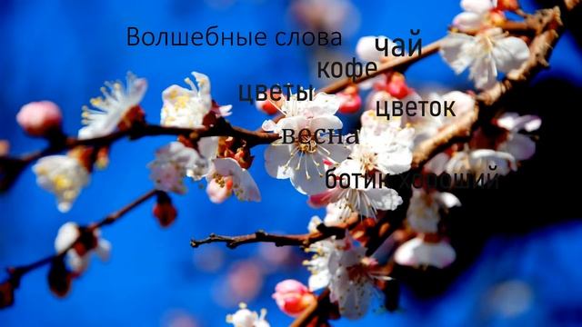 Стрим без меня/Набираю 4000 часов/Заходите знакомиться/Работает ботик смотреть онлайн