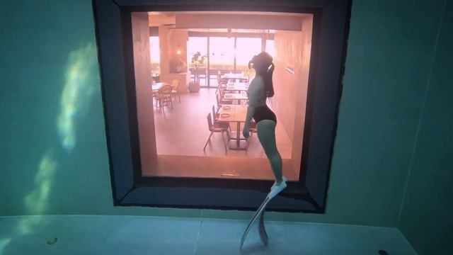 Freediving Girl Peeking Outside the Window of the Diving Pool to Look for Yummy Treats смотреть онлайн
