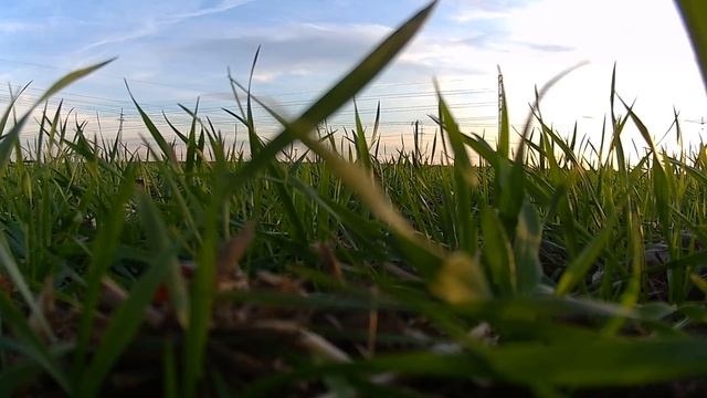 Syma X8G 8MP HD Camera test 2 смотреть онлайн