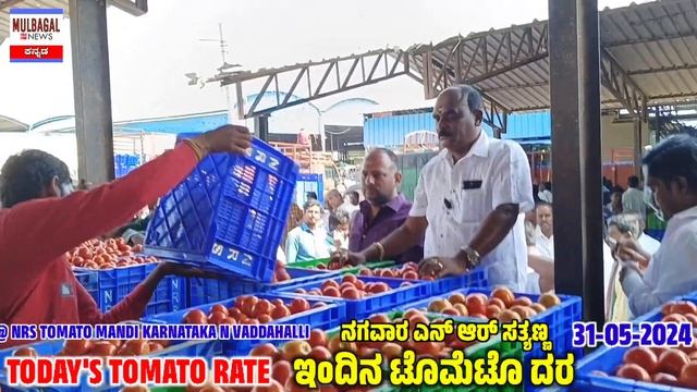 May 31, 2024 today's tomato rate at VADDAHALLI KARNATAKA смотреть онлайн