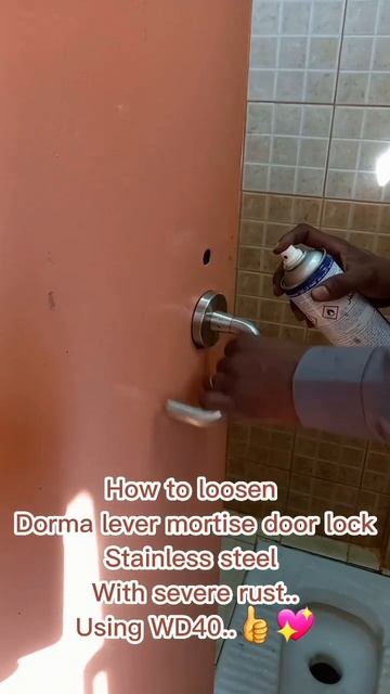 Dorma lever mortise door lock,Stainless steel #shorts смотреть онлайн
