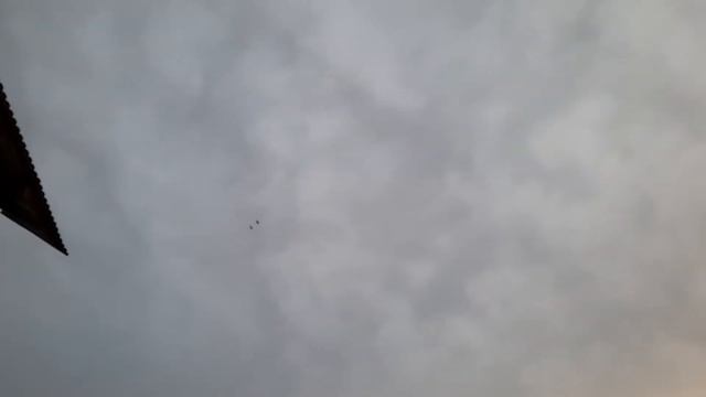 Удалось заснять лебедей в полёте! смотреть онлайн