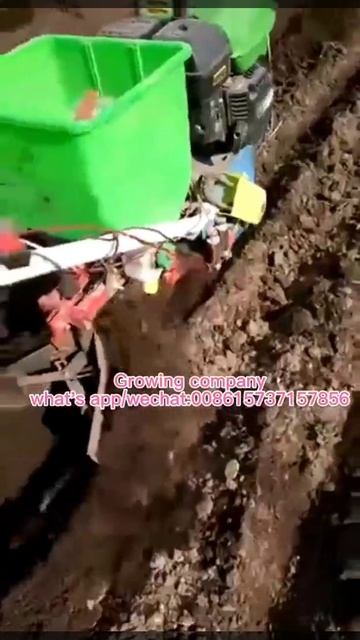 Corn Seeding Machine Corn Seed Planter Seeder With Gasoline Engine