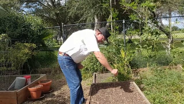 October Garden смотреть онлайн